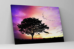 Obraz s osamelým stromom v podvečer zs1327
